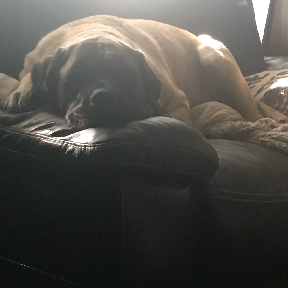 🥰 Jorja says HAPPY POSHING 🥰 - Picture 2 of 4